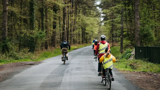 Paimpont - Experience Bretonne - Broceliande Bike tour - Randonnee