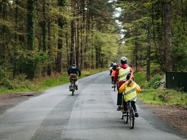 Paimpont - Experience Bretonne - Broceliande Bike tour - Randonnee