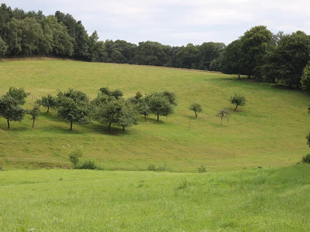 Vallee Du Palet Champeaux Cprb