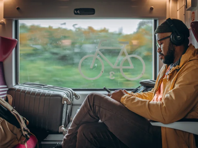 Rennes - Homme consultant son telephone dans le train