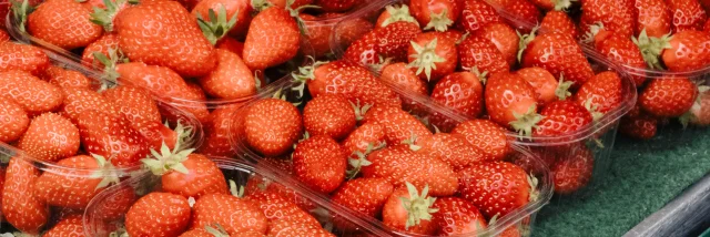 Fraises de Plougastel