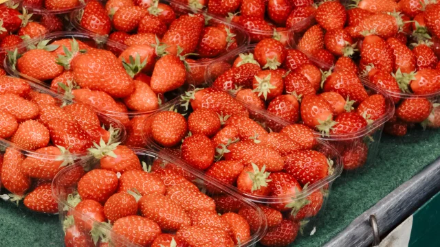 Fraises de Plougastel