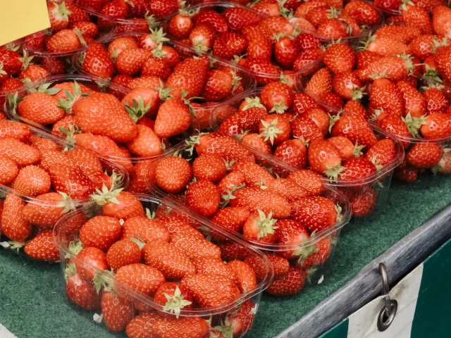 Fraises de Plougastel