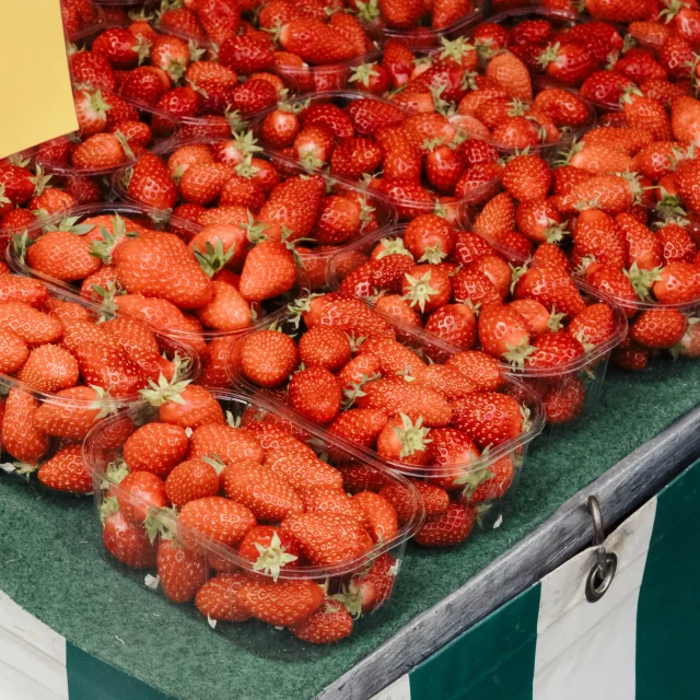 Fraises de Plougastel