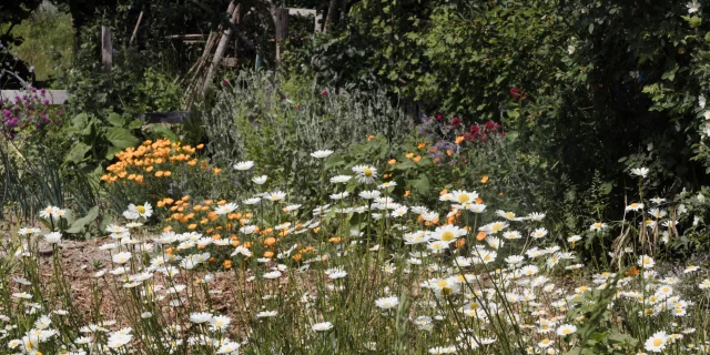 La Mettrie - Jardin - Aux Bonnes Herbes