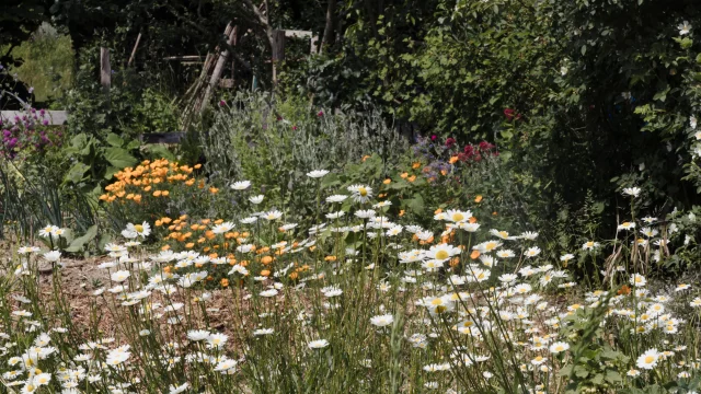 La Mettrie - Jardin - Aux Bonnes Herbes
