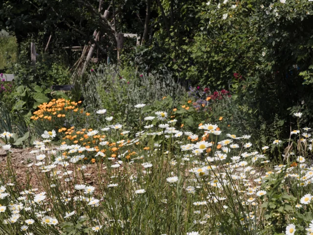 La Mettrie - Jardin - Aux Bonnes Herbes