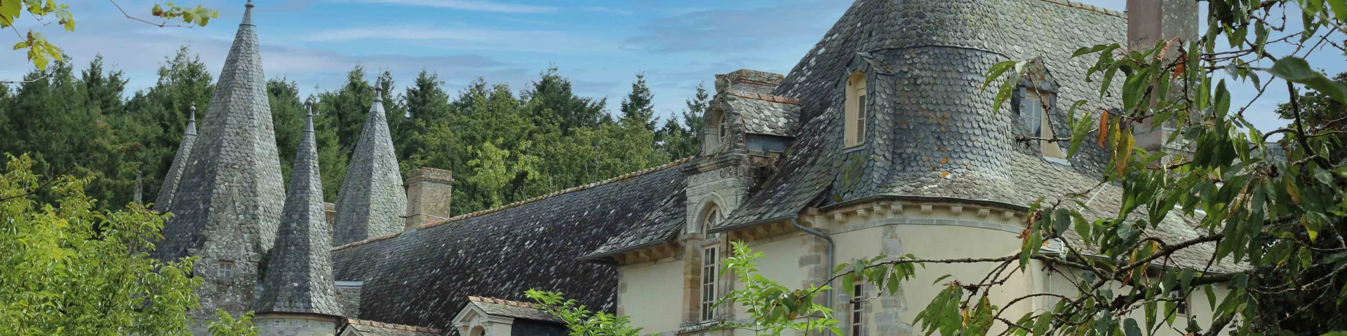 Chateau De Lepinay 411