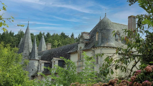 Chateau De Lepinay 411