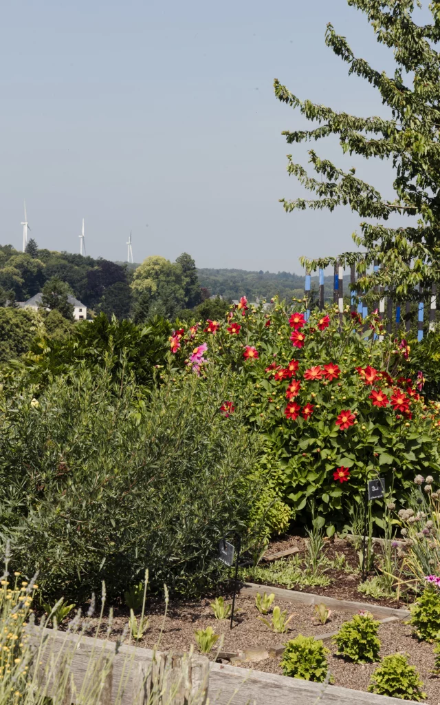 La Gacilly - Potager - Eco-hôtel Spa La Grée des Landes