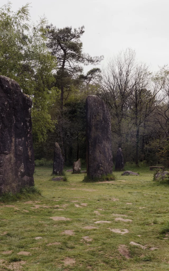 Monteneuf - Megalithes de Monteneuf