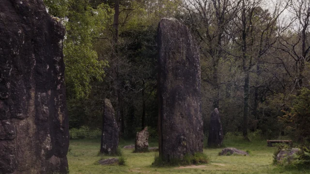 Monteneuf - Megalithes de Monteneuf