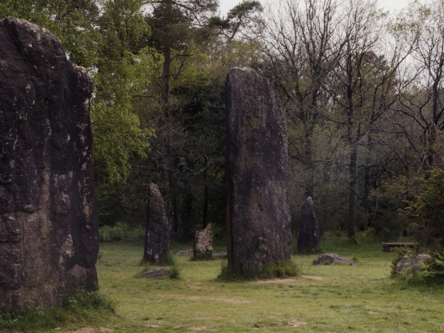 Monteneuf - Megalithes de Monteneuf