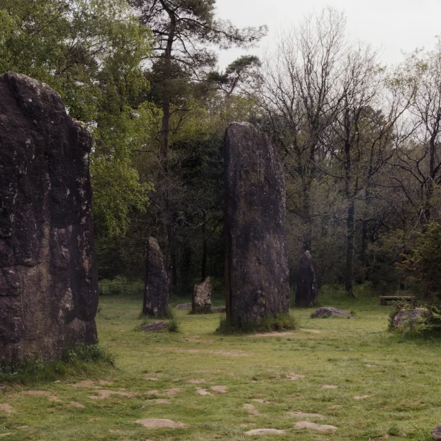 Monteneuf - Megalithes de Monteneuf