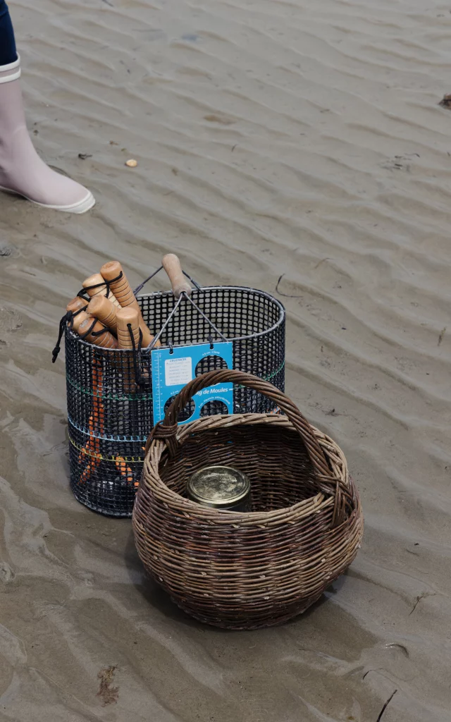 Dinard - Expérience Bretonne Pêche à Pied à la plage du Prieuré