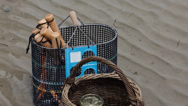 Dinard - Expérience Bretonne Pêche à Pied à la plage du Prieuré