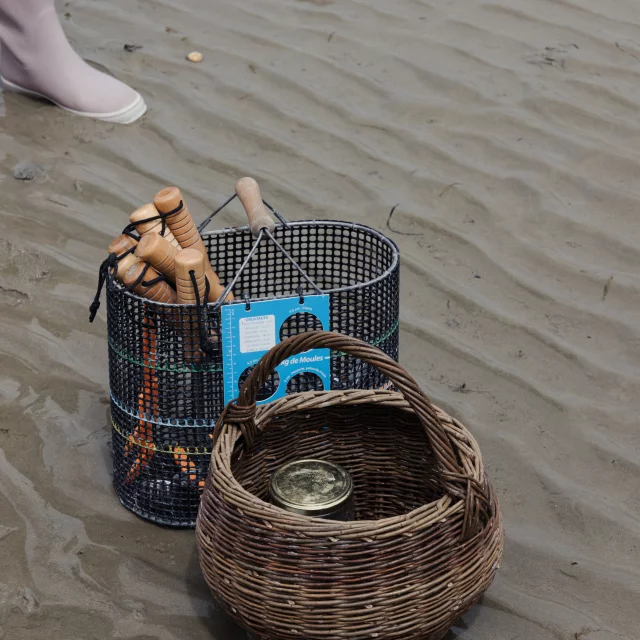 Dinard - Expérience Bretonne Pêche à Pied à la plage du Prieuré