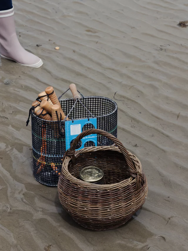 Dinard - Expérience Bretonne Pêche à Pied à la plage du Prieuré