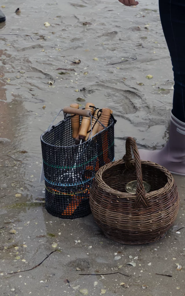 Dinard - Expérience Bretonne Pêche à Pied à la plage du Prieuré