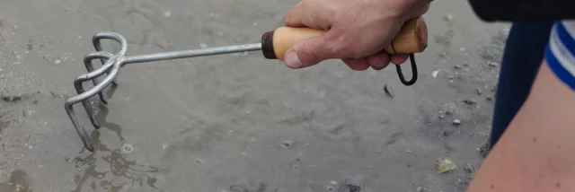 Dinard - Expérience Bretonne Pêche à Pied à la plage du Prieuré
