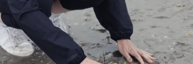 Dinard - Expérience Bretonne Pêche à Pied à la plage du Prieuré