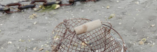 Dinard - Expérience Bretonne Pêche à Pied à la plage du Prieuré