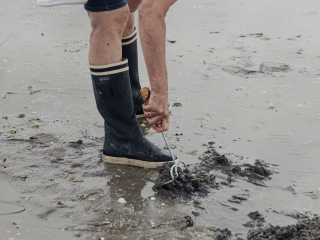 Dinard - Expérience Bretonne Pêche à Pied à la plage du Prieuré