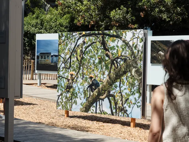 La Gacilly - Festival Photo