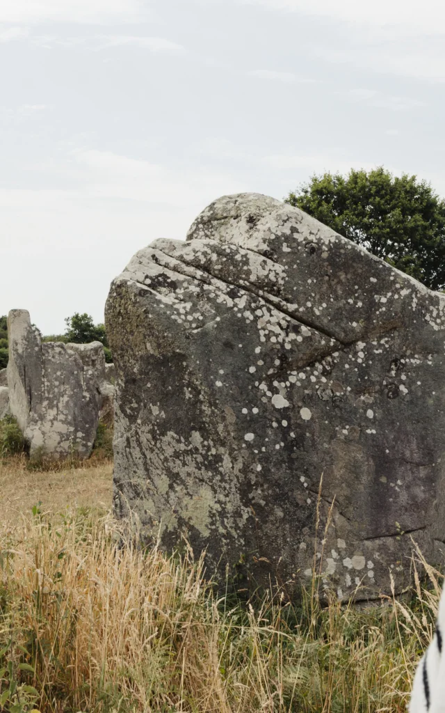 Carnac - alignement de mégalithes