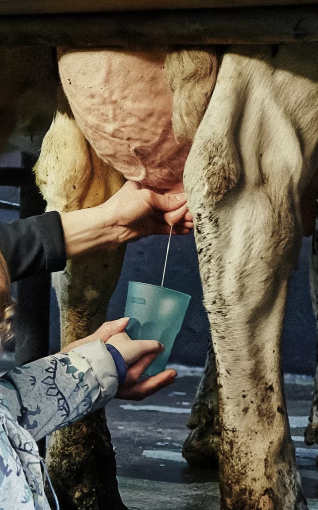 Nivillac - La petite Arche de la Vallée - Ferme Pédagogique - Traite des vaches