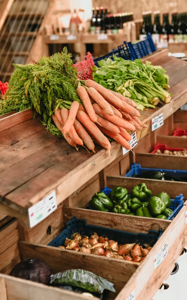 Saint-Ouen-la-Rouerie - Les Jardins des Coccinelles - Légumes