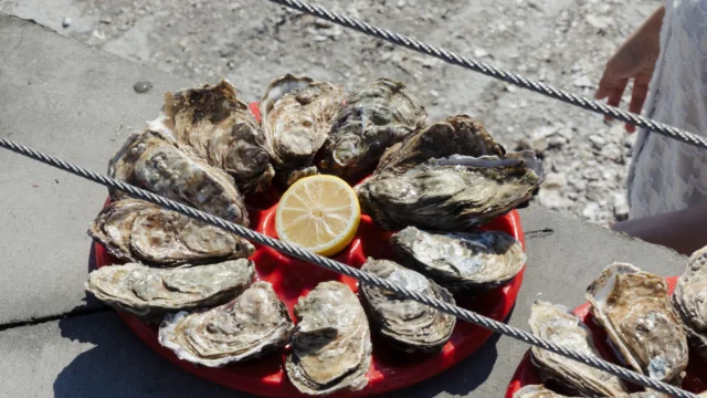 Cancale - Marché aux huitres - Plateau d'huitres