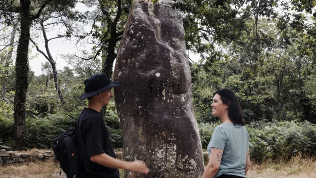 Carnac -Menhir - Quadrilatère du Manio