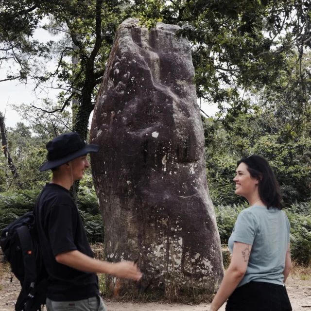 Carnac -Menhir - Quadrilatère du Manio