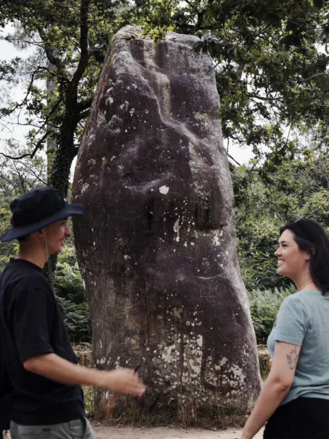 Carnac -Menhir - Quadrilatère du Manio