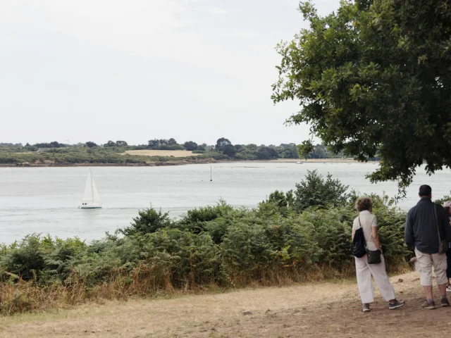 île de Gavrinis