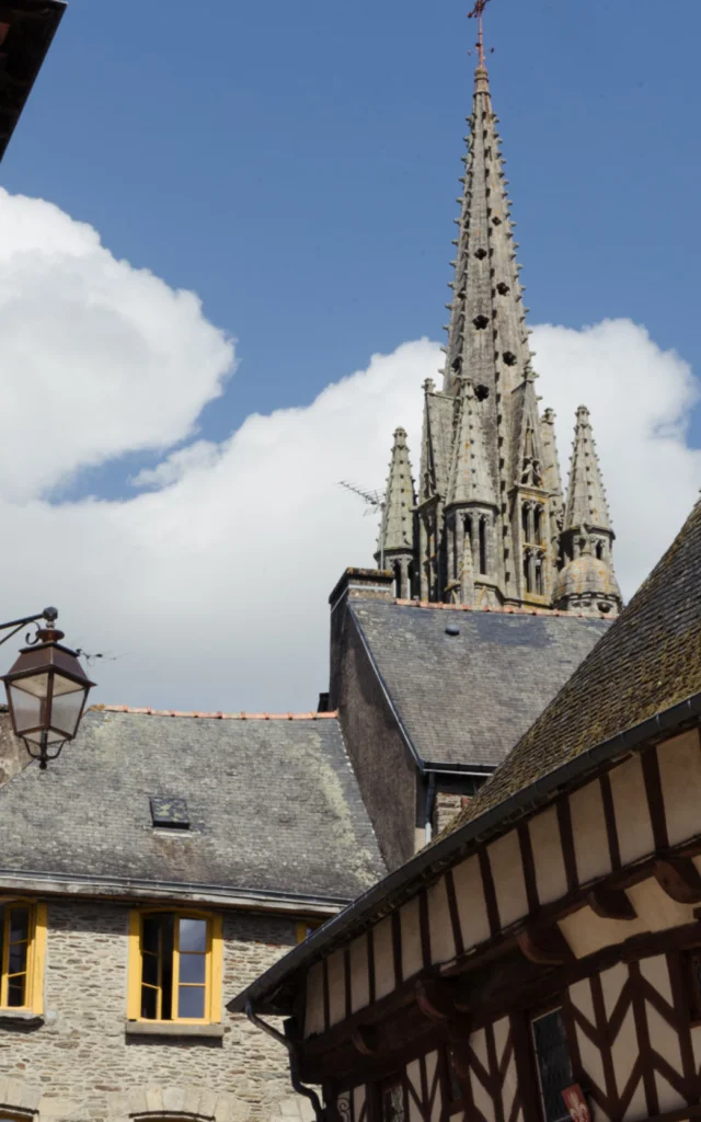Josselin - Maisons en pans de bois et Basilique Notre-Dame du Roncier