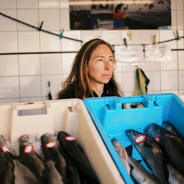 2025 Ouessant Argentique 36