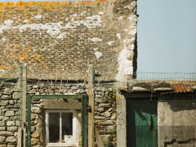 Ouessant - Poulailler