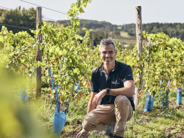 Aurelien Berthou In Seinem Weinberg Bei Auray C Alexandre Lamoureux