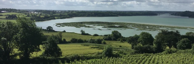 Vignes du Mont Garrot et camp Vikings