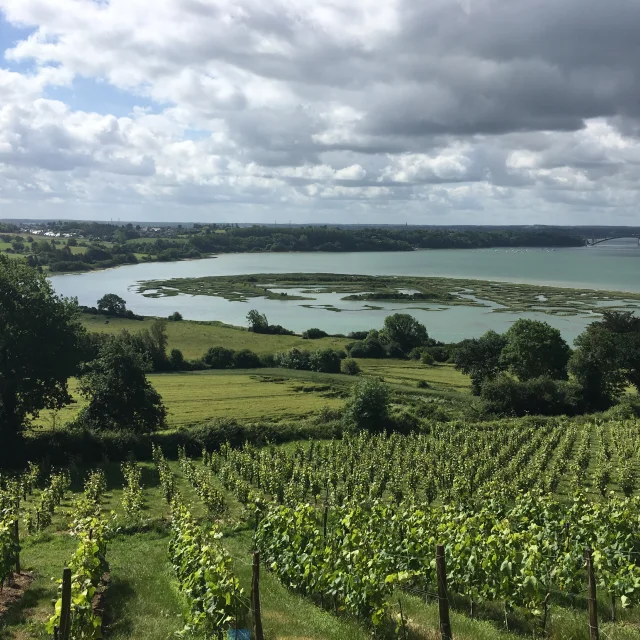 Vignes du Mont Garrot et camp Vikings