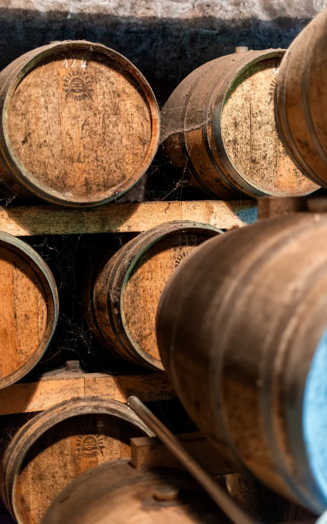 https://www.kinkiz-terroir.bzh/