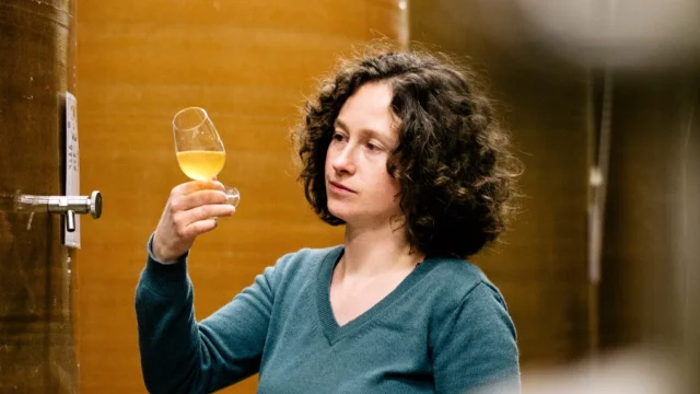 Bédée - Cidrerie Coat Albret - Cuve