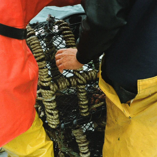 Plouguerneau - Marin pêcheur - Casier à homard