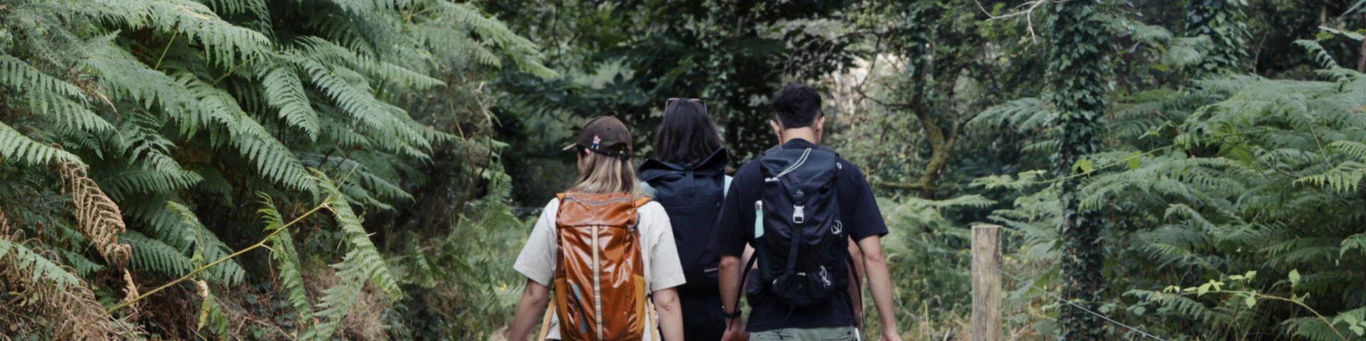 Carnac - Randonnée entre amis