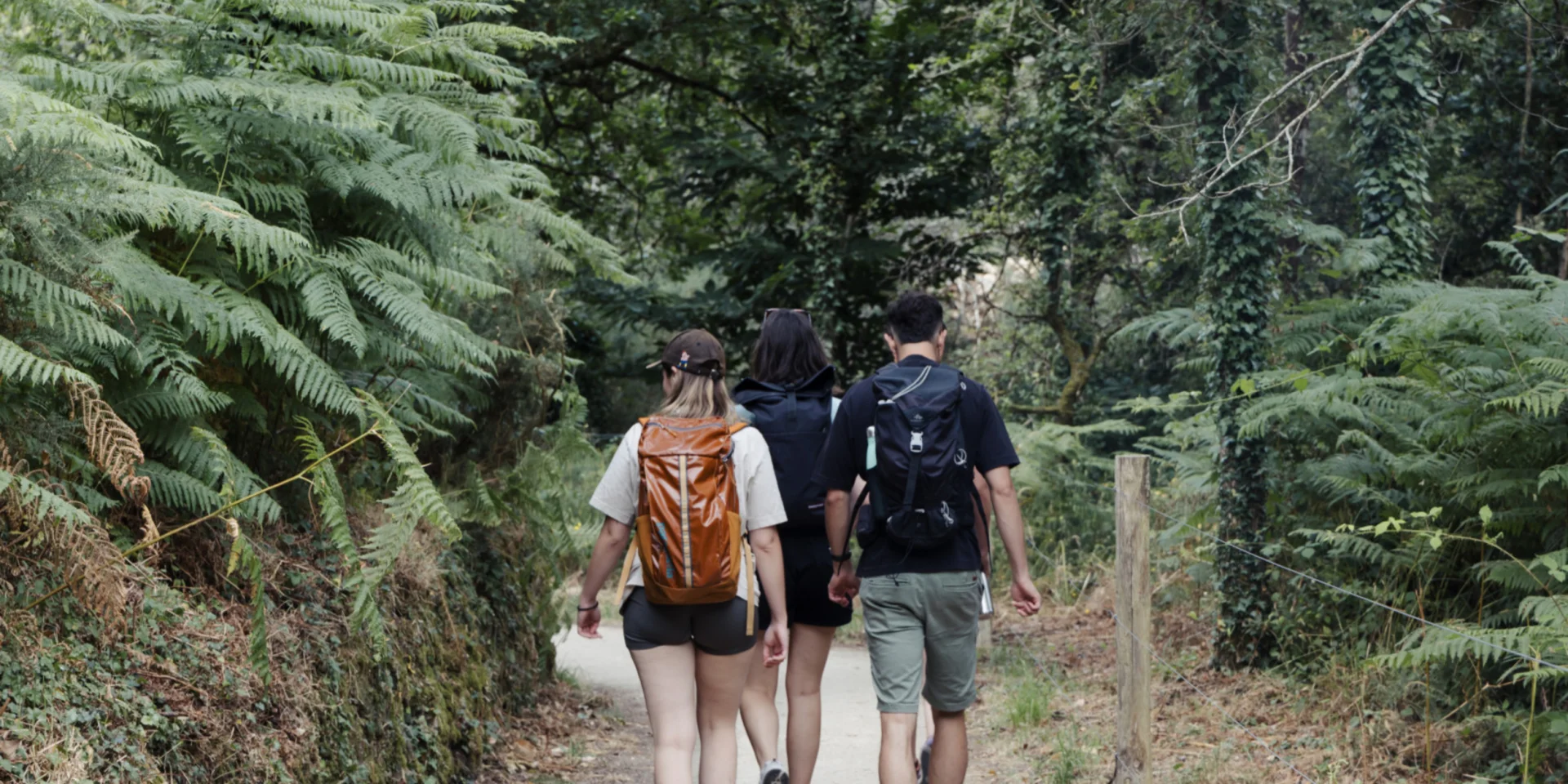 Carnac - Randonnée entre amis