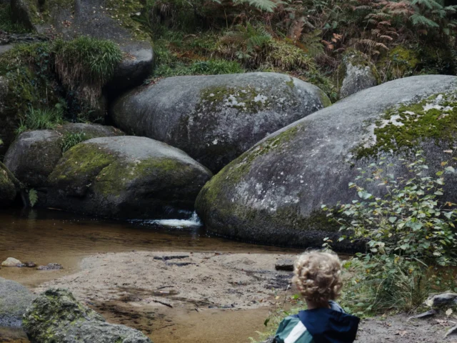 Huelgoat - La Mare aux Sangliers