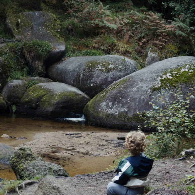 Huelgoat - La Mare aux Sangliers