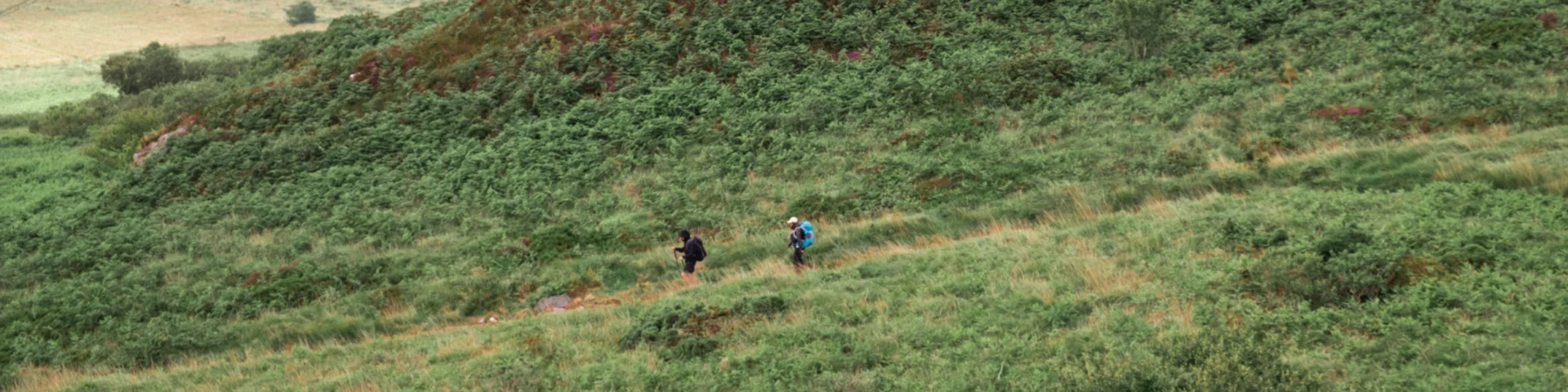Randonnée dans les Monts d’Arrée